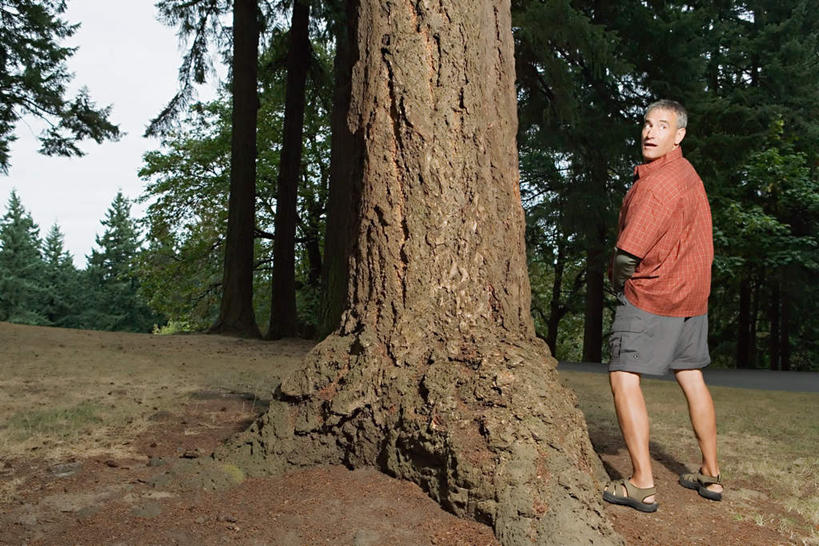 西方人,一个人,站,横图,室外,白天,旅游,度假,美景,树林,植物,欧洲,欧洲人,仅一个男性,仅一个人,小便,阴影,服装,光线,影子,景观,云,云朵,云彩,注视,休闲装,娱乐,树,树木,背面,衣服,蓝色,绿色,白云,蓝天,天空,阳光,自然,天,观察,看,站着,仅一个老年男性,享受,休闲,休闲服,景色,放松,服饰,生长,晴朗,成长,观看,察看,关注,震动,自然风光,震惊,老年男性,男人,男性,白种人,晴空,站立,彩图,全身,排尿