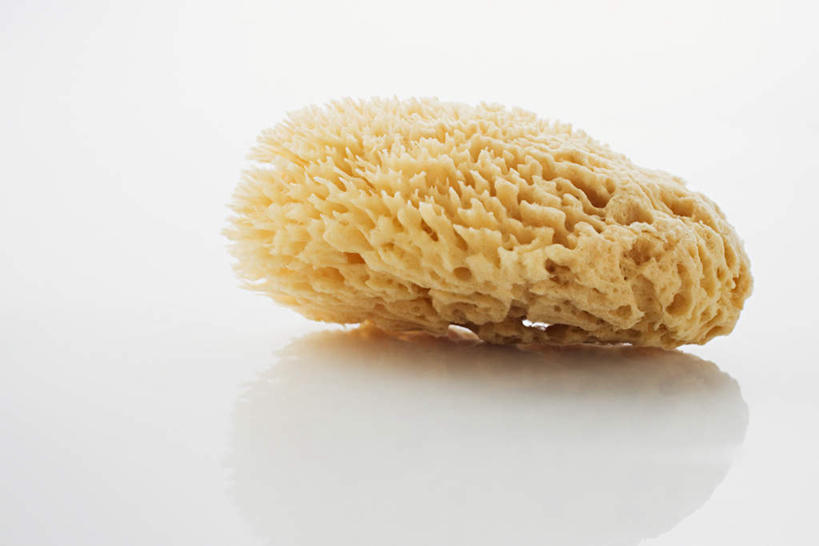 无人,横图,俯视,室内,特写,白天,白色背景,化妆,美容,护肤,阴影,粗糙,光线,海绵,影子,一个,清洁,保养,享受,休闲,放松,保健,摄影,影棚,单个,毛糙,养颜,洗脸海绵,洗脸扑,洗脸绵,彩图,高角度拍摄,影棚拍摄,拍摄,粗拙