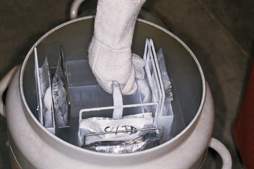 西方人,手,一个人,医生,横图,俯视,室内,特写,白天,工作服,制服,欧洲,欧洲人,仅一个男性,仅一个人,仅一个中年男性,地面,拎,一个,容器,手套,医护人员,医疗人员,手部,橡胶,单个,储藏,单手,储存,橡胶手套,橡胶制品,募捐,医用手套,捐献,工作制服,男人,男性,中年男性,白种人,大夫,半身,彩图,高角度拍摄,工作套服,贮存,拎着