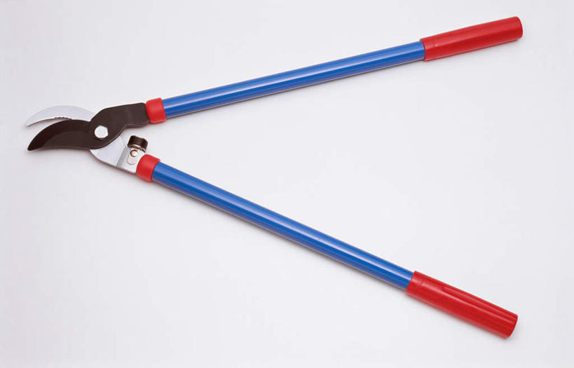 无人,横图,俯视,室内,特写,白天,白色背景,静物,修剪,工具,剪刀,园艺工具,园艺,一个,红色,蓝色,摄影,影棚,单个,裁剪,剪子,剪裁,切割,篱笆剪,整篱剪,彩图,高角度拍摄,影棚拍摄,拍摄