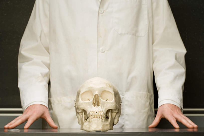 西方人,骨骼,一个人,学校,站,横图,室内,白天,正面,桌子,欧洲,欧洲人,仅一个男性,仅一个人,服装,骨头,注视,休闲装,书桌,校园,仅一个年轻男性,衣服,课桌,模型,黑板,扶,观察,看,站着,休闲,教室,休闲服,教学,服饰,观看,骨架,察看,扶着,骷髅头,关注,耐磨,教学黑板,男人,男性,年轻男性,白种人,站立,半身,彩图