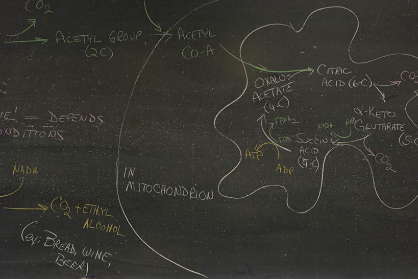 无人,学校,横图,室内,白天,正面,英文,笔,标志,工具,文字,字符,字母,标识,校园,粉笔,学习用品,黑板,教室,教学,英文字母,文具用品,耐磨,白垩,教学黑板,彩图