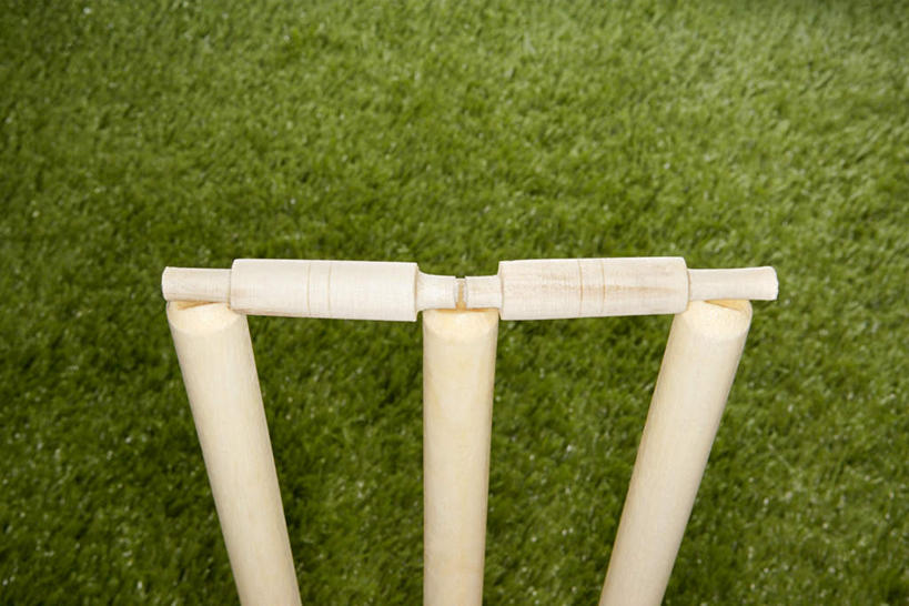 无人,体育馆,运动场,横图,俯视,室外,特写,白天,草地,草坪,植物,一排,整齐,柱子,球棒,体育场,草,排列,三个,绿色,田径场,队列,板球,运动馆,彩图,高角度拍摄