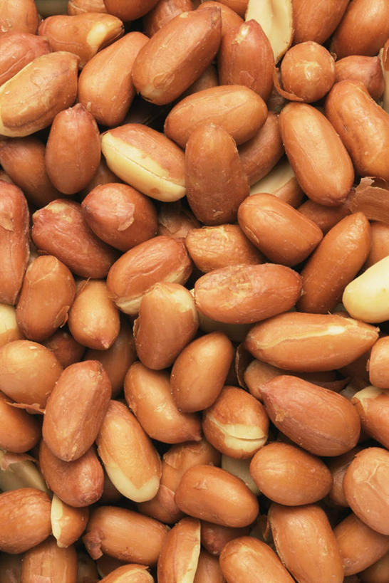 无人,竖图,俯视,室内,特写,白天,植物,豆,花生,一堆,许多,堆叠,堆积,豆类,豆子,坚果,长生果,堆,花生仁,豆科,落花生,落生,花生米,花生豆,彩图,高角度拍摄