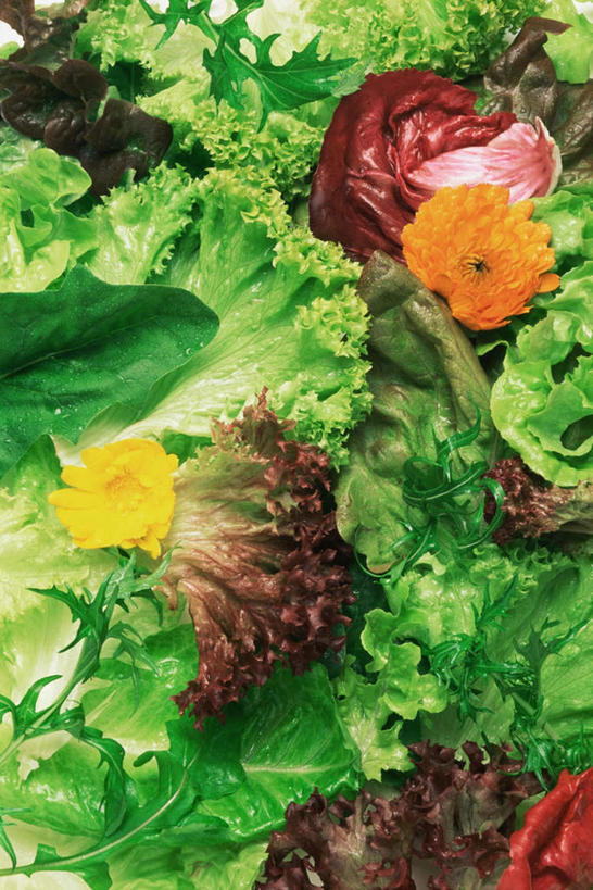 无人,竖图,俯视,室内,特写,白天,蔬菜,叶子,一堆,许多,堆叠,堆积,新鲜,莴苣,莴笋,食品,绿叶,食物,嫩叶,有机食品,绿色食品,堆,香笋,千金菜,叶,叶片,彩图,高角度拍摄