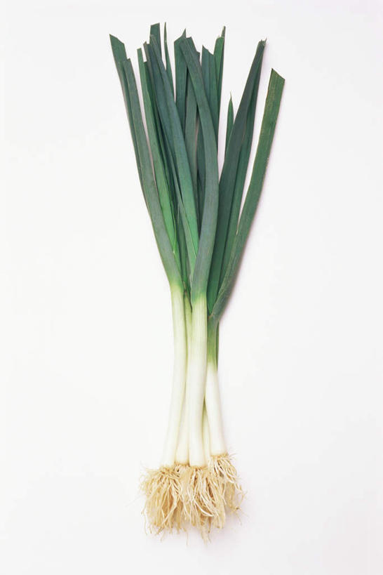 无人,竖图,俯视,室内,特写,白天,白色背景,蔬菜,一棵,阴影,新鲜,反射,影子,葱,大葱,青葱,食品,食物,绿色,白色,摄影,有机食品,绿色食品,影棚,彩图,高角度拍摄,影棚拍摄,拍摄