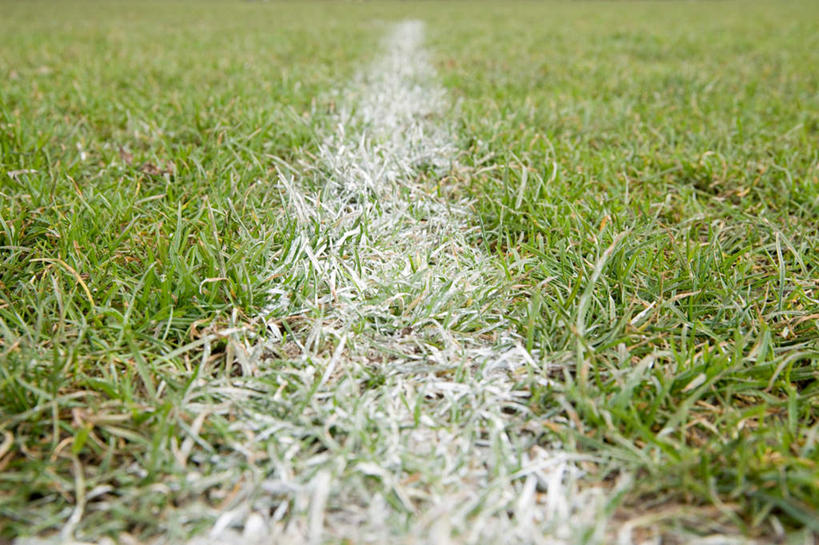 无人,足球场,横图,室内,特写,白天,正面,草地,草坪,植物,一根,朦胧,模糊,界线,线条,草,绿色,白色,界限,边界,绿茵场,彩图,足球比赛场地,边界线