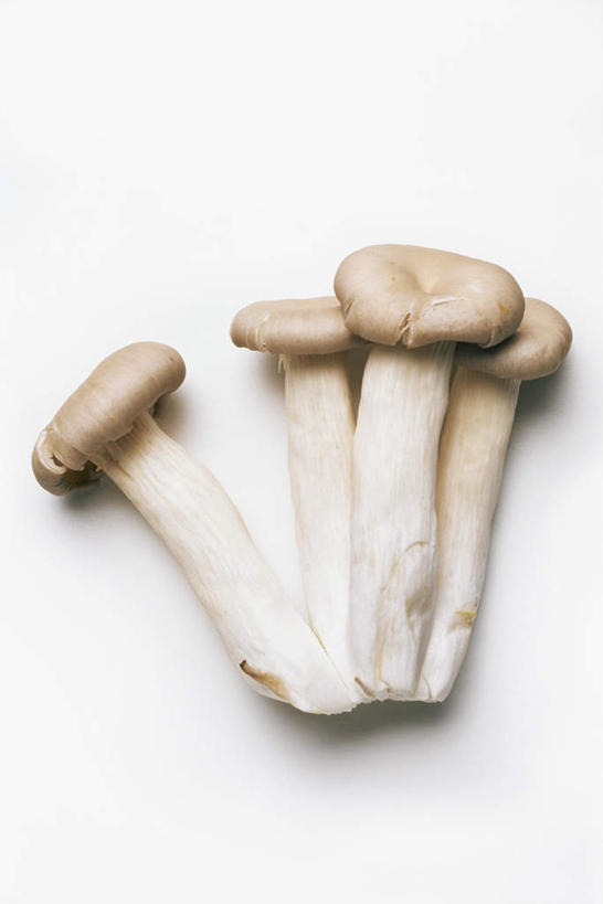 无人,竖图,俯视,室内,特写,白天,白色背景,蔬菜,一排,阴影,新鲜,整齐,反射,影子,菌菇,食品,菌类,平菇,食物,排列,四个,食用菌,摄影,有机食品,绿色食品,影棚,队列,姬菇,糙皮侧耳,侧耳,黑牡丹菇,彩图,高角度拍摄,影棚拍摄,拍摄