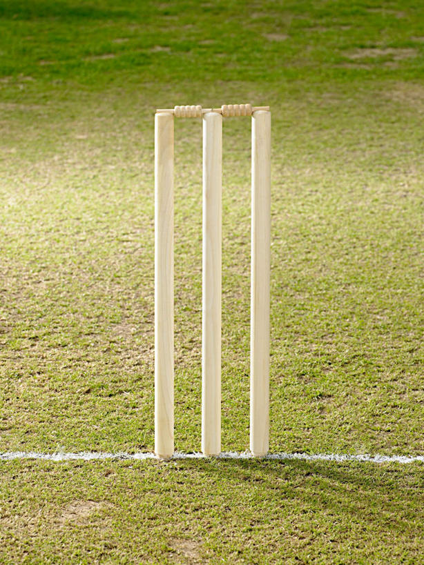 无人,体育馆,运动场,竖图,俯视,室外,白天,草地,草坪,植物,三根,阴影,朦胧,模糊,光线,木制,球门,线,影子,柱子,分界线,体育场,草,绿色,阳光,木制品,田径场,运动馆,球桩,彩图,高角度拍摄