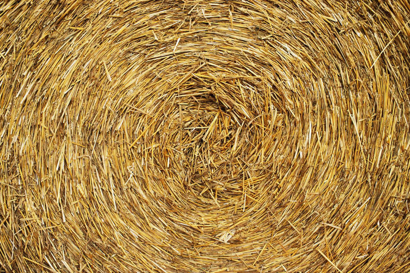 无人,横图,室外,特写,白天,正面,农作物,小麦,圆形,谷物,干草,一个,草垛,麦子,单个,干草垛,彩图