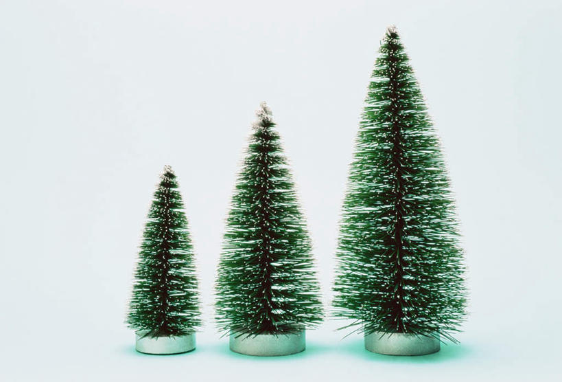 无人,横图,室内,特写,白天,白色背景,正面,植物,桌面,桌子,圣诞节,三棵,一排,节日,庆祝,整齐,木制,圣诞树,文化,树,树木,排列,绿色,自然,木制品,庆典,摄影,影棚,生长,成长,纪念,队列,彩图,影棚拍摄,拍摄