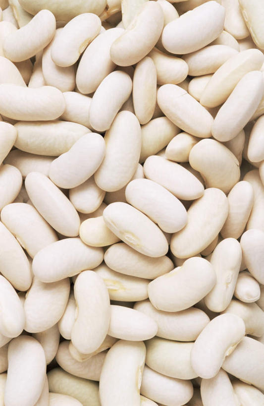 无人,竖图,俯视,室内,特写,白天,蔬菜,一堆,许多,堆叠,堆积,新鲜,豆类,食品,食物,白色,摄影,有机食品,绿色食品,影棚,堆,卫生,纯真,白豆,眉豆,饭豇豆,饭豆,甘豆,洁净,光明,恬静,中间色,朴素,清白,彩图,高角度拍摄,影棚拍摄,拍摄