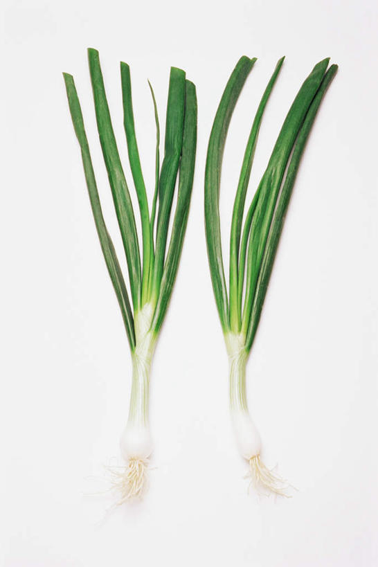 无人,竖图,俯视,室内,特写,白天,白色背景,蔬菜,阴影,新鲜,反射,影子,葱,大葱,青葱,食品,食物,两个,摄影,有机食品,绿色食品,影棚,彩图,高角度拍摄,影棚拍摄,拍摄