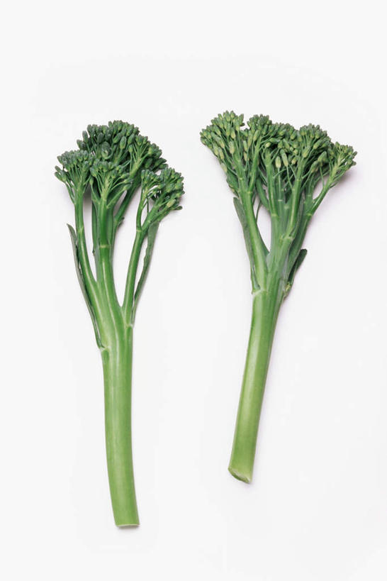 无人,竖图,室内,特写,白天,白色背景,正面,蔬菜,新鲜,花菜,花椰菜,西兰花,食品,两颗,食物,绿色,摄影,有机食品,绿色食品,影棚,彩图,影棚拍摄,拍摄