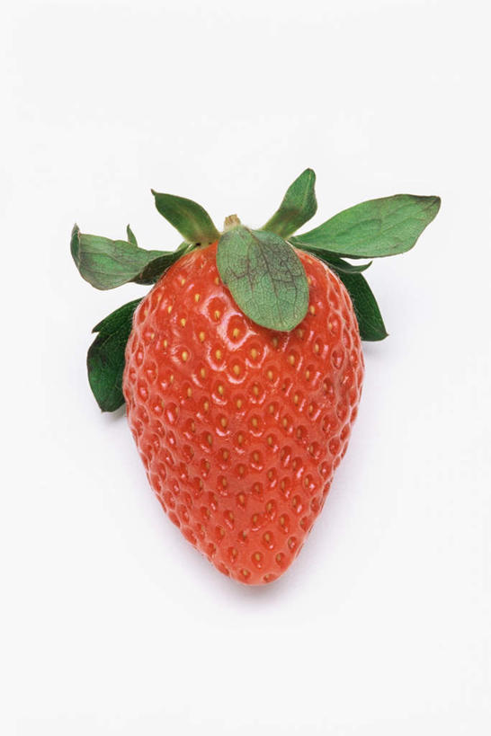 无人,竖图,俯视,室内,特写,白天,白色背景,草莓,浆果,一个,红色,摄影,影棚,单个,洋莓,水果皇后,红莓,地莓,彩图,高角度拍摄,影棚拍摄,拍摄