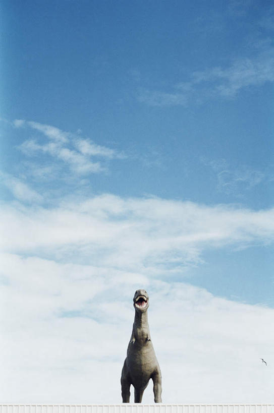 无人,竖图,室外,白天,仰视,雕塑,阴影,艺术,装饰,光线,雕刻,雕像,影子,云,云朵,云彩,蓝色,白云,蓝天,天空,阳光,工艺品,天,恐龙,晴朗,纪念,美术,主题,凶猛,陈列,功能,美学,灭尽,灭绝,史前动物,凶残,晴空,彩图,低角度拍摄