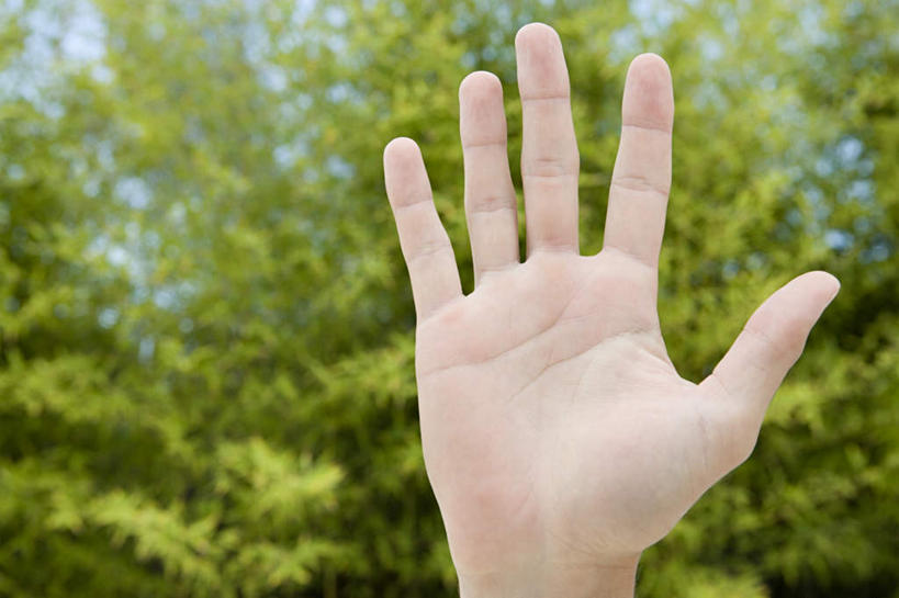 西方人,手,一个人,横图,室外,特写,白天,正面,旅游,度假,美景,植物,欧洲,欧洲人,仅一个男性,仅一个人,展开,张开,景观,娱乐,树,树木,仅一个年轻男性,绿色,自然,享受,休闲,手部,手指,景色,放松,生长,成长,自然风光,男人,男性,年轻男性,白种人,半身,彩图