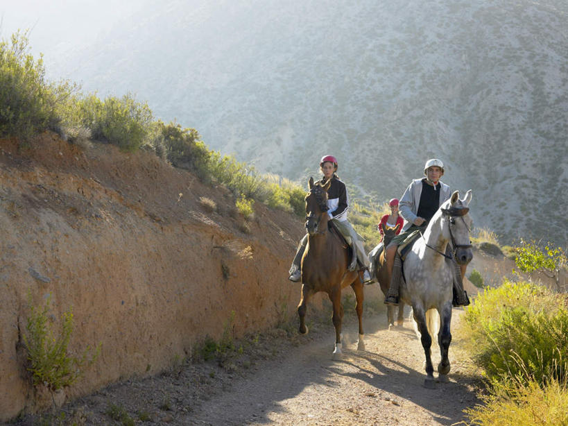 西方人,两个人,伙伴,朋友,微笑,露齿笑,横图,室外,白天,正面,友谊,山,山脉,植物,马,野生动物,帽子,欧洲,欧洲人,两顶,骑马,阴影,服装,光线,头盔,影子,山峰,山峦,注视,休闲装,树,树木,骑,衣服,红色,绿色,阳光,自然,动物,安全帽,群山,观察,看,休闲,休闲服,运输,服饰,牲畜,生长,成长,观看,察看,关注,三匹,友情,男人,男性,年轻男性,年轻女性,女人,女性,白种人,彩图,全身