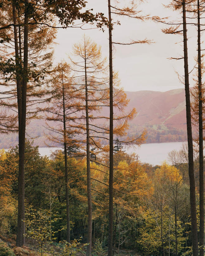 无人,公园,竖图,室外,白天,正面,旅游,度假,湖,湖泊,石头,美景,森林,山,山脉,树林,水,植物,英国,欧洲,石子,湖面,景观,山顶,山峰,水流,水面,山峦,娱乐,英格兰,树,树木,绿色,自然,湖水,群山,享受,休闲,景色,放松,生长,成长,国家公园,西欧,自然风光,大不列颠,沉积岩,大不列颠及北爱尔兰联合王国,大不列颠联合王国,日不落英帝国,颠峰,极峰,英吉利,水成岩,湖区国家公园,英国湖区国家公园,石块,岩石,彩图