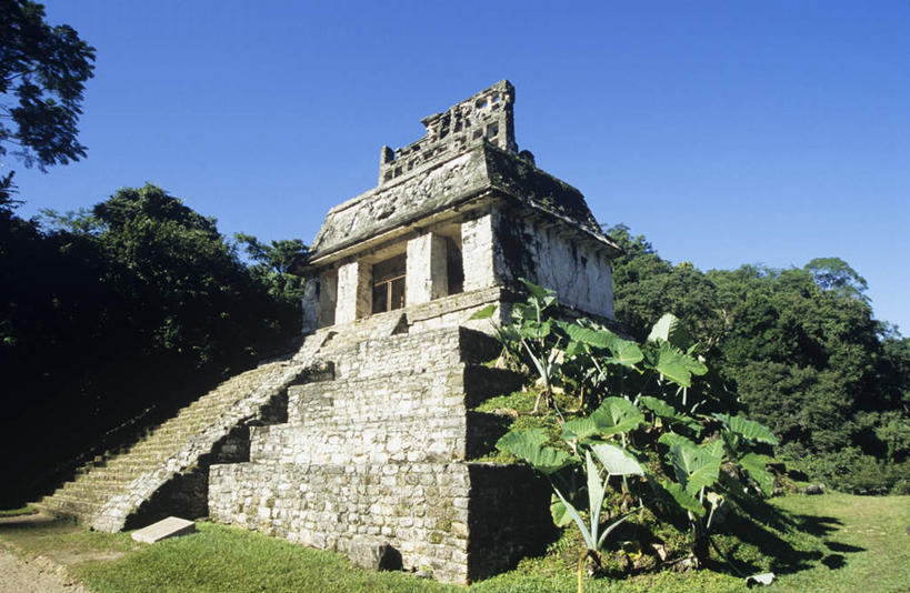 无人,横图,室外,白天,正面,旅游,度假,草地,草坪,石头,名胜古迹,植物,楼梯,地标,叶子,墨西哥,阴影,遗迹,光线,三角形,石子,影子,阶梯,绿叶,古迹,历史,文物,娱乐,古建筑,台阶,草,树,树木,蓝色,绿色,蓝天,天空,阳光,自然,天,享受,休闲,嫩叶,旅游胜地,金字塔,放松,生长,晴朗,成长,北美,陵墓,北美洲,玛雅金字塔,美洲,古文明,万里无云,帕伦克,恰帕斯,恰帕斯州,方锥形,北亚美利加洲,亚美利加洲,墨西哥合众国,仙人掌王国,玛雅神庙,帕伦克金字塔,叶,叶片,石块,岩石,晴空,晴空万里,彩图,标志性建筑