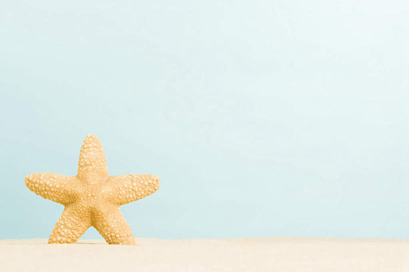 无人,横图,室内,白天,正面,海星,蓝色背景,海洋生物,一个,自然,动物,生物,摄影,影棚,单个,棘皮动物门,星鱼,彩图,影棚拍摄,拍摄