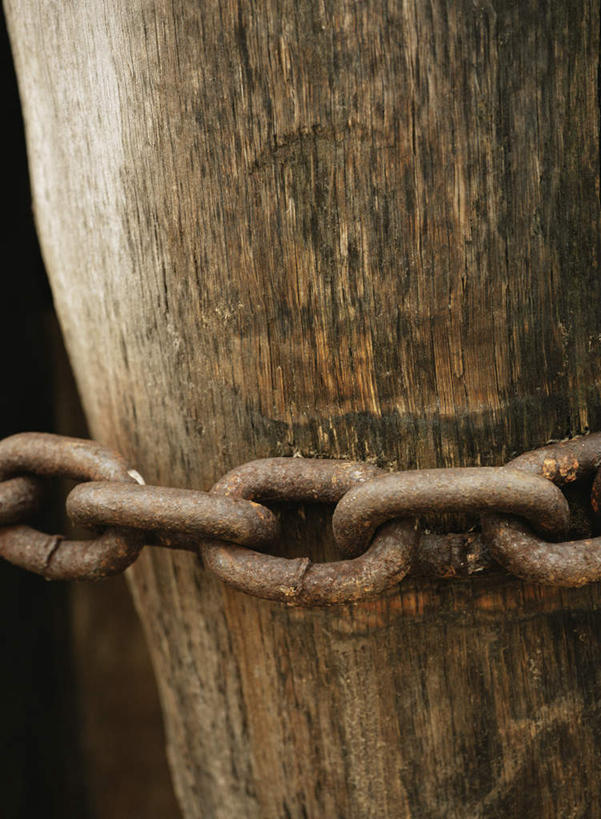 无人,竖图,室外,特写,白天,正面,静物,生锈,缠绕,树桩,树,树干,一个,木桩,铁链,单个,铁环,链条,腐蚀,侵蚀,纠缠,腐化,锈迹斑斑,彩图