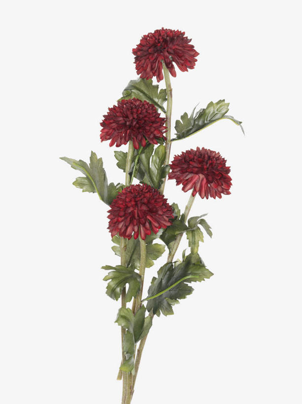 无人,竖图,俯视,室内,特写,白天,白色背景,美景,静物,四朵,阴影,装饰,盛开,反射,影子,景观,大丽花,花蕾,花,花瓣,花朵,鲜花,红色,自然,假花,花苞,花蕊,菊花,景色,摄影,影棚,大理花,华丽,修饰,点缀,分别,自然风光,大丽菊,衬托,美观,雅致,雅观,一株,富丽,大方,彩图,高角度拍摄,影棚拍摄,拍摄,仿真花,人造花