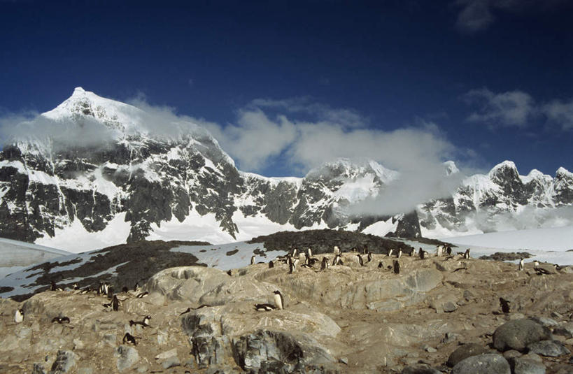 无人,站,走,横图,俯视,室外,白天,旅游,度假,南极,河流,石头,美景,山,水,雪,雪山,大雪,企鹅,野生动物,许多,阴影,光线,石子,影子,冰,河水,积雪,景观,山峰,水流,雪景,云,云朵,冬季,冬天,山峦,云彩,注视,娱乐,蓝色,白云,蓝天,天空,阳光,自然,动物,天,观察,看,站着,享受,休闲,景色,放松,寒冷,可爱,活泼,晴朗,观看,察看,冰冷,关注,自然风光,南极洲,严寒,冰凉,酷寒,凛冽,凛凛,极冷,巴布亚企鹅,白眉企鹅,金图企鹅,南极大陆,南极地区,南极区,南极圈,洛克雷港,第七大陆,石块,晴空,步行,散步,站立,走路,彩图,高角度拍摄,全身