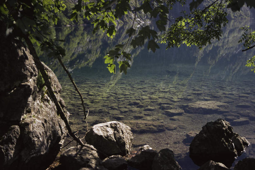 无人,横图,室外,白天,正面,旅游,度假,湖,湖泊,石头,美景,山,山脉,水,植物,叶子,德国,欧洲,阴影,光线,石子,影子,湖面,景观,山峰,水流,水面,绿叶,山峦,娱乐,树,树木,绿色,倒影,阳光,自然,湖水,群山,享受,休闲,嫩叶,景色,放松,生长,成长,倒映,西欧,自然风光,沉积岩,德意志联邦共和国,巴伐利亚,巴伐利亚州,拜恩州,拜恩自由州,反照,贝希特斯加登,贝希特斯加登县,水成岩,叶,叶片,石块,岩石,彩图