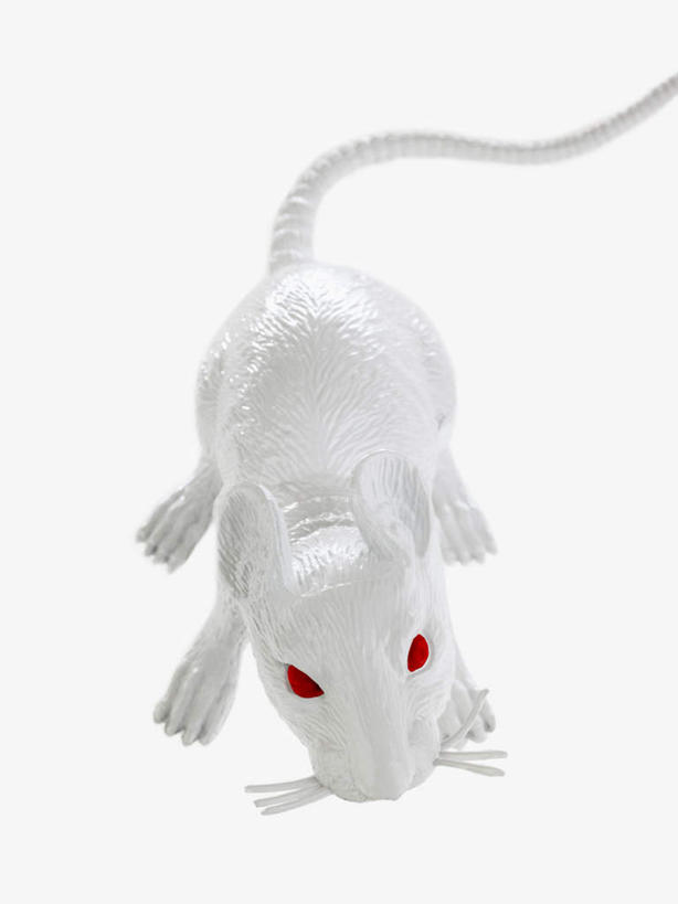 眼睛,无人,竖图,室内,特写,白天,白色背景,正面,野生动物,老鼠,静物,细菌,一只,红色,动物,模型,摄影,影棚,病菌,传染,四害,耗子,彩图,全身,影棚拍摄,拍摄