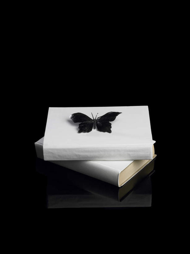 无人,竖图,俯视,室内,特写,白天,蝴蝶,静物,书籍,阴影,黑色背景,反射,昆虫,影子,一只,白色,动物,摄影,影棚,两本,益虫,书,图书,彩图,高角度拍摄,全身,影棚拍摄,拍摄