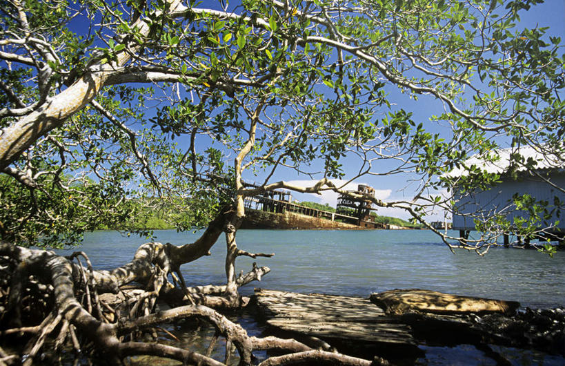 无人,横图,室外,白天,正面,旅游,度假,湖,湖泊,美景,水,植物,印度,亚洲,阴影,光线,影子,湖面,景观,水流,水面,娱乐,树,树木,蓝色,绿色,倒影,蓝天,天空,阳光,自然,湖水,天,享受,休闲,景色,放松,生长,晴朗,成长,倒映,自然风光,南亚,万里无云,喀拉拉邦,印度共和国,反照,喀拉拉,晴空,晴空万里,彩图