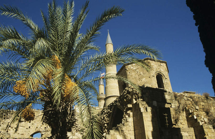 无人,教堂,横图,室外,白天,仰视,旅游,度假,石头,植物,标志建筑,地标,建筑,棕榈树,叶子,塞浦路斯,亚洲,阴影,节日,光线,石子,影子,墙,绿叶,首都,文化,娱乐,建设,废墟,墙壁,墙面,树,树木,蓝色,绿色,蓝天,天空,阳光,自然,天,祈祷,享受,休闲,健康,嫩叶,旅游胜地,放松,许愿,宗教,信仰,生长,晴朗,成长,纪念,祈求,西亚,信念,棕榈叶,万里无云,塞浦路斯共和国,尼科西亚,平安,叶,叶片,石块,岩石,晴空,晴空万里,彩图,低角度拍摄,大教堂,礼拜堂