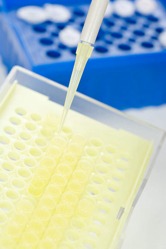 无人,竖图,俯视,室内,特写,白天,实验,仪器,桌面,桌子,朦胧,模糊,研究,透明,分析,化学,测试,木制,滴管,试管架,液体,实验室,研究室,架子,玻璃制品,木制品,器皿,计量,试验室,玻璃仪器,试验耗材,实验用品,吸液管,移液管,彩图,高角度拍摄