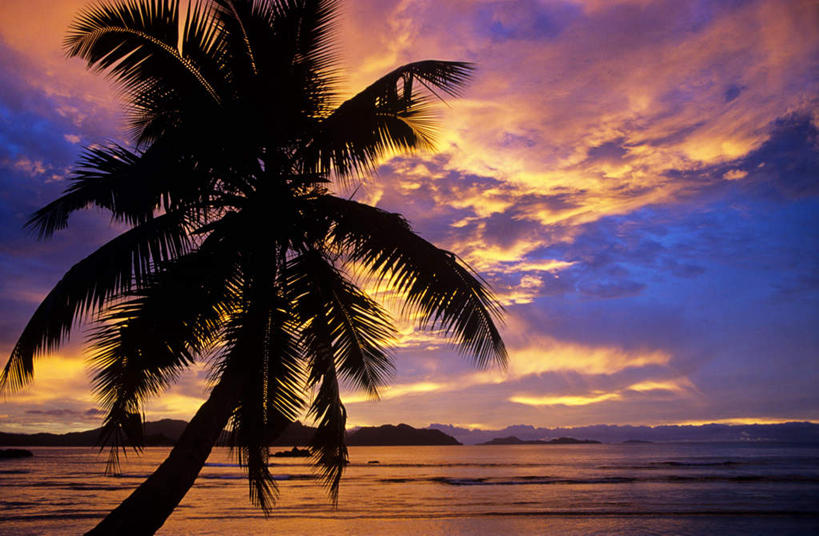 无人,横图,室外,白天,仰视,旅游,度假,海浪,海洋,美景,日落,植物,棕榈树,叶子,非洲,塞舌尔,景观,浪花,水平线,晚霞,霞光,落日,辽阔,绿叶,海平线,背光,娱乐,树,树木,绿色,自然,海水,黄昏,享受,休闲,广阔,嫩叶,景色,彩霞,放松,生长,成长,一望无际,自然风光,逆光,海景,棕榈叶,塞舌尔共和国,阿非利加洲,东非,无边无际,一马平川,夕照,普拉斯林岛,叶,叶片,大海,风浪,海,海水的波动,近岸浪,涌浪,夕阳,彩图,低角度拍摄,水天相接,水天一线,斜阳