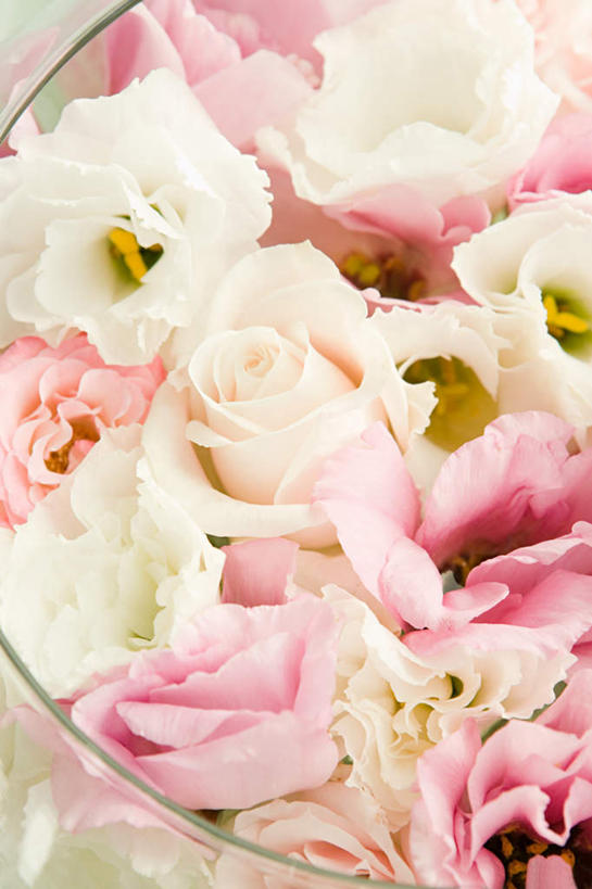 无人,竖图,俯视,室内,特写,白天,爱情,幸福,纯洁,热情,玫瑰,玻璃,芳香,盛开,玫瑰花,浪漫,花蕾,玻璃制品,花,花瓣,花朵,鲜花,粉色,容器,碗,花苞,花蕊,温暖,温馨,恩爱,储藏,和睦,储存,芬芳,感动,尊敬,馨香,天真,刺玫花,徘徊花,彩图,高角度拍摄,融洽,贮存