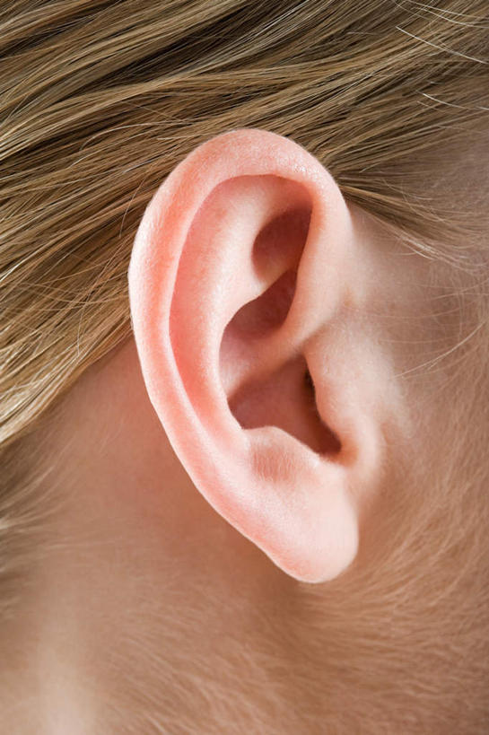 西方人,耳朵,头发,一个人,竖图,室内,特写,白天,侧面,欧洲,欧洲人,仅一个年轻女性,仅一个女性,仅一个人,灰色背景,金色,摄影,影棚,年轻女性,女人,女性,白种人,耳,耳部,半身,彩图,影棚拍摄,拍摄