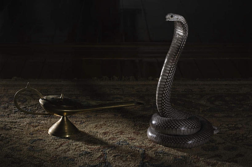 无人,横图,室内,夜晚,正面,游戏,台灯,野生动物,玩具,纺织品,照明,一条,阴影,装饰,光线,爬行动物,蛇,毛毯,毯子,影子,灯光,玩,娱乐,灯,纺织,动物,灯具,垫子,休闲,温暖,益智,活动,华丽,修饰,照亮,点缀,有毒,照明设备,发泄,消遣,智力,冷血动物,凶猛,脊椎动物,长虫,眼镜蛇,宣泄,衬托,美观,雅致,雅观,残暴,凶残,玩耍,嬉戏,彩图,全身,冷血