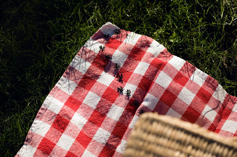 无人,交叉,横图,俯视,室外,特写,白天,游戏,草地,草坪,植物,竹子,野生动物,玩具,一排,竹制,朦胧,模糊,整齐,编织,昆虫,蚂蚁,篮子,坐垫,玩,娱乐,草,排列,绿色,动物,竹篮,休闲,可爱,益智,活泼,活动,竹条,交织,竹制品,队列,发泄,消遣,智力,蚁,玄驹,益虫,宣泄,野餐垫,野餐地毯,多功能毯,食物篮,穿插,玩耍,嬉戏,彩图,高角度拍摄,全身,野餐篮