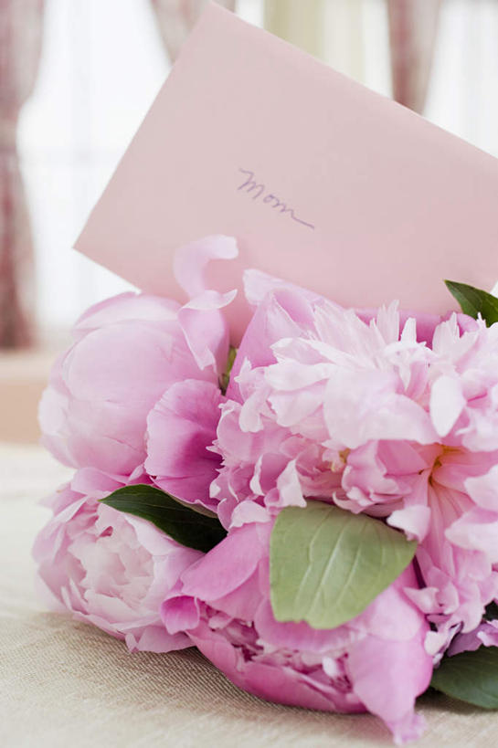 无人,竖图,室内,特写,白天,正面,窗帘,叶子,母亲节,节日,朦胧,模糊,庆祝,装饰,盛开,英文,标志,文字,字符,字母,绿叶,贺卡,花蕾,文化,标识,花,花瓣,花朵,鲜花,帘子,花苞,花蕊,庆典,嫩叶,遮阳,纪念,英文字母,华丽,修饰,点缀,衬托,美观,雅致,雅观,叶,叶片,彩图