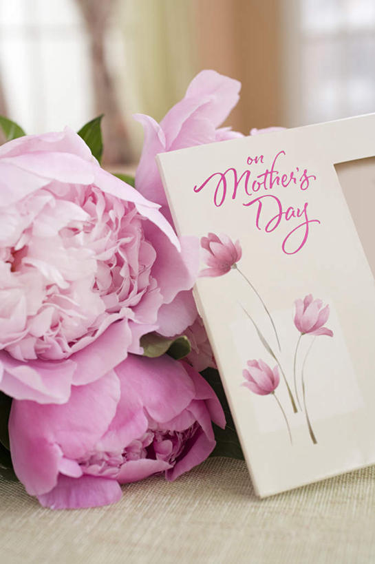 无人,竖图,室内,特写,白天,正面,窗帘,叶子,母亲节,节日,朦胧,模糊,庆祝,装饰,盛开,英文,标志,文字,字符,字母,绿叶,贺卡,花蕾,文化,标识,花,花瓣,花朵,鲜花,帘子,花苞,花蕊,庆典,嫩叶,遮阳,纪念,英文字母,华丽,修饰,点缀,衬托,美观,雅致,雅观,叶,叶片,彩图