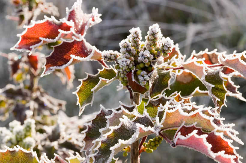 无人,横图,室外,特写,白天,正面,旅游,度假,美景,雪,大雪,阴影,朦胧,模糊,光线,影子,积雪,景观,雪景,冬季,冬天,娱乐,阳光,自然,享受,休闲,景色,放松,寒冷,自然风光,严寒,彩图