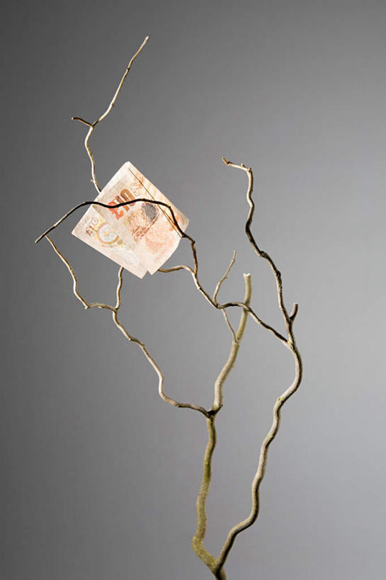 无人,竖图,室内,特写,白天,正面,钱,植物,一张,吊挂,悬挂,阴影,灰色背景,反射,钱币,影子,枝条,挂,树,树木,树枝,钞票,金融,纸币,摄影,影棚,经济,英镑,流通,纸钞,贸易,虬枝,枝杈,货币,现金,彩图,影棚拍摄,拍摄