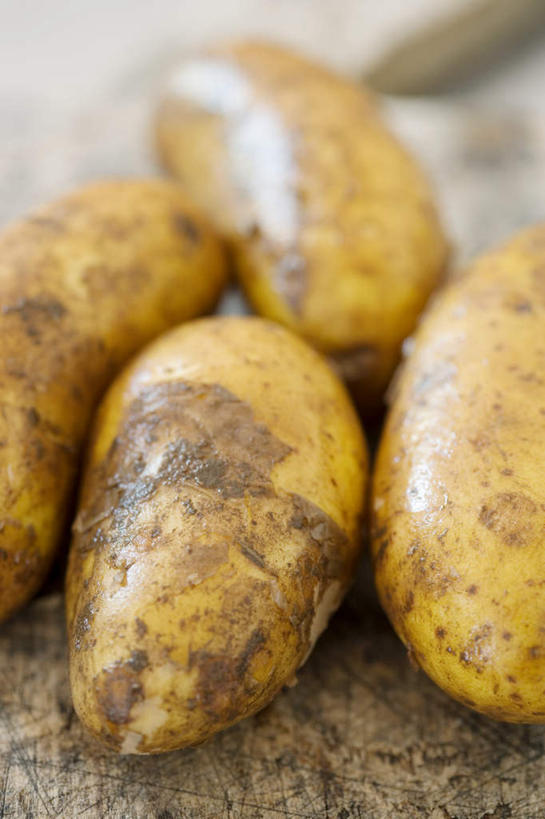 无人,竖图,俯视,室内,特写,白天,蔬菜,土豆,朦胧,模糊,新鲜,泥土,土壤,食品,食物,四个,有机食品,绿色食品,馍馍蛋,洋芋,山药蛋,马铃薯,彩图,高角度拍摄