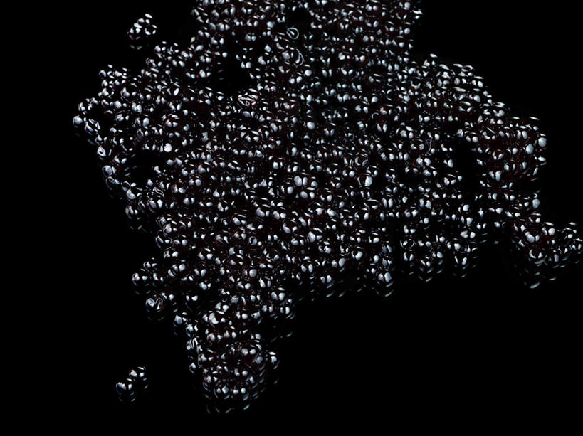 鱼子酱,无人,横图,俯视,室内,特写,白天,许多,阴影,黑色背景,反射,影子,鱼卵,鱼籽,黑色,摄影,影棚,彩图,高角度拍摄,影棚拍摄,拍摄