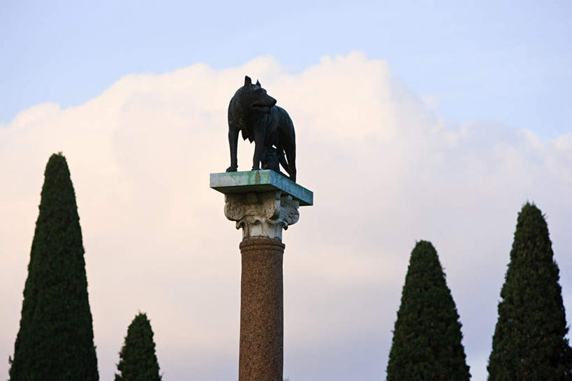 无人,站,横图,室外,白天,仰视,旅游,度假,名胜古迹,植物,标志建筑,地标,建筑,狼,野生动物,雕塑,意大利,欧洲,遗迹,艺术,装饰,雕刻,雕像,柱子,云,云朵,云彩,扭头,注视,古迹,文物,娱乐,建设,古建筑,树,树木,一只,蓝色,绿色,白云,蓝天,天空,自然,动物,工艺品,天,观察,看,站着,转头,享受,休闲,旅游胜地,放松,生长,晴朗,成长,观看,纪念,美术,察看,比萨,比萨省,托斯卡纳,关注,南欧,主题,凶猛,陈列,古文明,意大利共和国,首府,功能,美学,托斯卡纳大区,残暴,凶残,晴空,灰狼,站立,彩图,低角度拍摄,全身,犬科动物