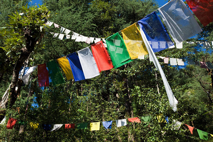 无人,横图,彩色,室外,白天,仰视,旅游,度假,树林,植物,标志建筑,地标,建筑,旗帜,印度,亚洲,一排,许多,吊挂,悬挂,节日,整齐,建筑群,挂,文化,娱乐,旗子,建设,树,树木,排列,绿色,自然,祈祷,享受,休闲,健康,放松,许愿,宗教,佛教,信仰,生长,成长,纪念,五颜六色,祈求,色彩斑斓,队列,南亚,五彩缤纷,喜马偕尔邦,印度共和国,五彩斑斓,旌旗,旗号,释教,五光十色,高山之州,喜马偕尔,平安,彩图,低角度拍摄