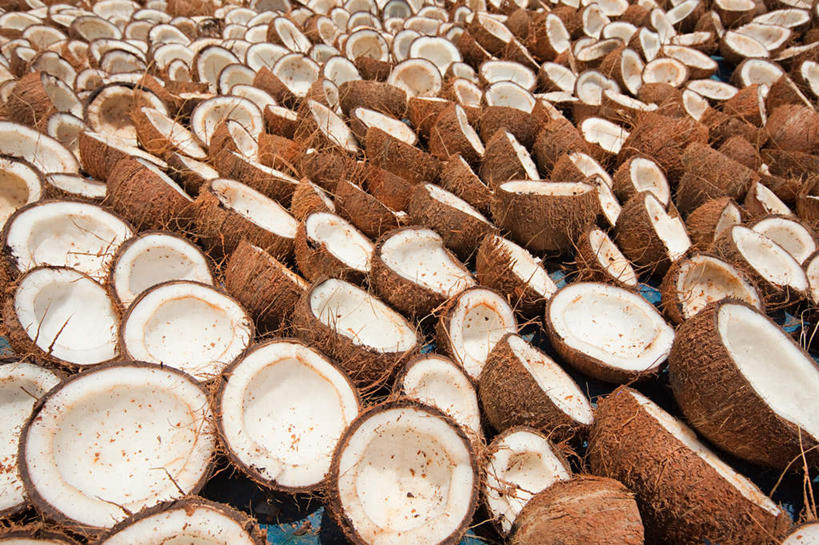 无人,横图,俯视,室外,特写,白天,旅游,度假,美景,椰子,水果,印度,亚洲,许多,切开,新鲜,景观,生食,食品,果实,娱乐,食物,自然,切,享受,休闲,景色,放松,有机食品,绿色食品,自然风光,南亚,剖面,切面,喀拉拉邦,印度共和国,大椰,胥余,椰瓢,越王头,喀拉拉,彩图,高角度拍摄