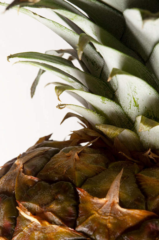 无人,竖图,室内,特写,白天,白色背景,正面,菠萝,水果,新鲜,生食,食品,果实,食物,一个,摄影,有机食品,绿色食品,影棚,单个,锋利,尖锐,尖利,犀利,凤梨,彩图,影棚拍摄,拍摄