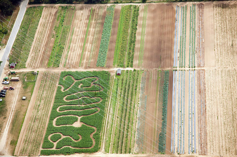 无人,农田,横图,俯视,航拍,室外,白天,旅游,度假,庄稼,农作物,美景,美国,池塘,景观,水池,娱乐,自然,享受,休闲,景色,放松,北美,北美洲,罗得岛,鸟瞰,自然风光,美洲,罗德岛,北亚美利加洲,亚美利加洲,罗得岛州,海洋之州,纽波特,彩图,高角度拍摄,耕地,庄稼田